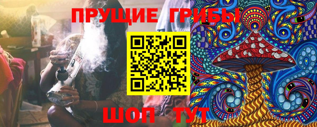 Псилоцибиновые грибы GOLDEN TEACHER Егорьевск