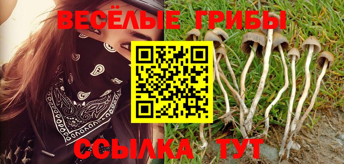 Псилоцибиновые грибы прущие грибы  Вход с VPN  Галлюциногенные грибы MAGIC MUSHROOMS  Егорьевск 